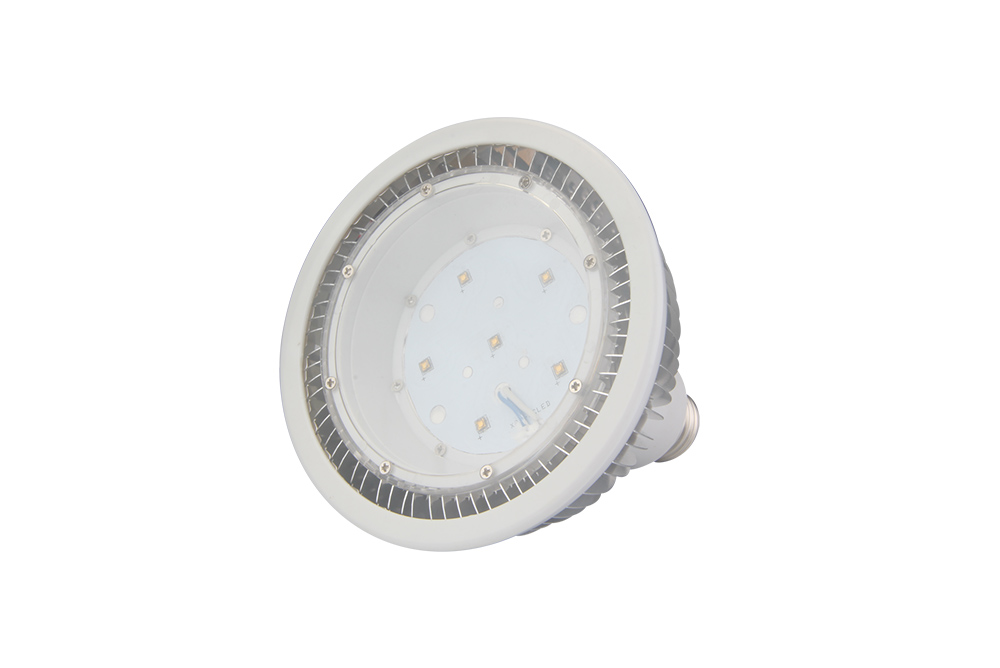 IP65 Led Par38