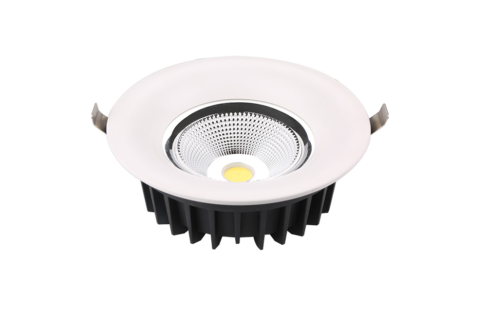 Led Downlight 30W