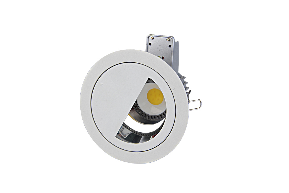 Led Downlight COB