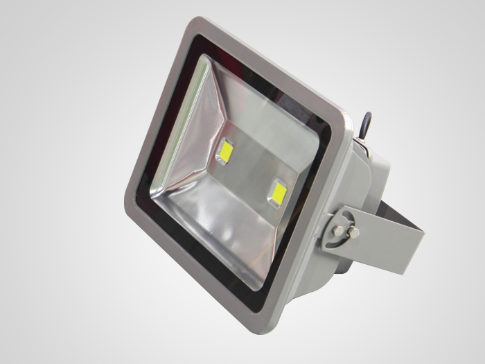 Led Floodlight 120W