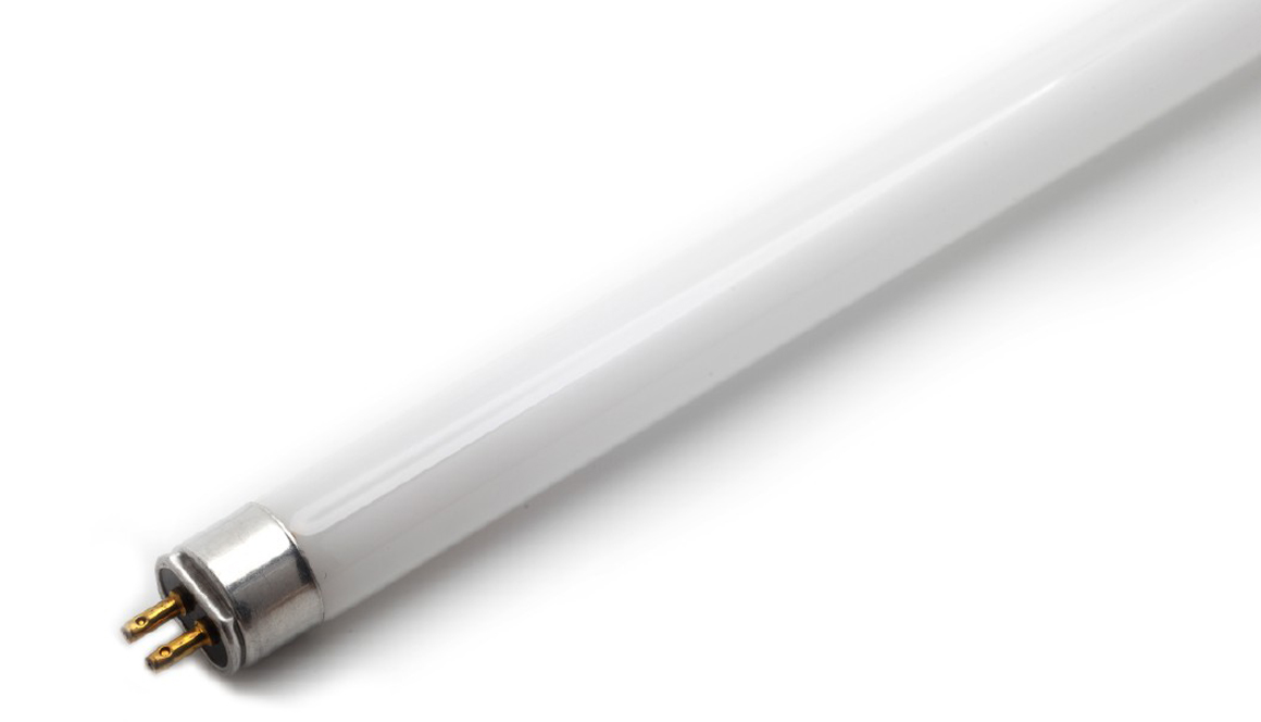 T8 Fluorescent Tube